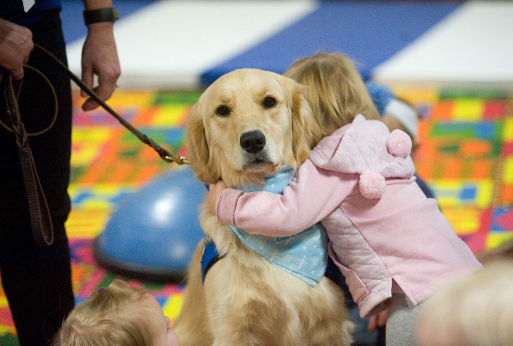 Charleston Comfort Dog 12/27/18 - 2